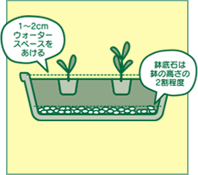 使ってわかる！ぐんまの軽石「鉢底石」｜コンクリートブロック製造